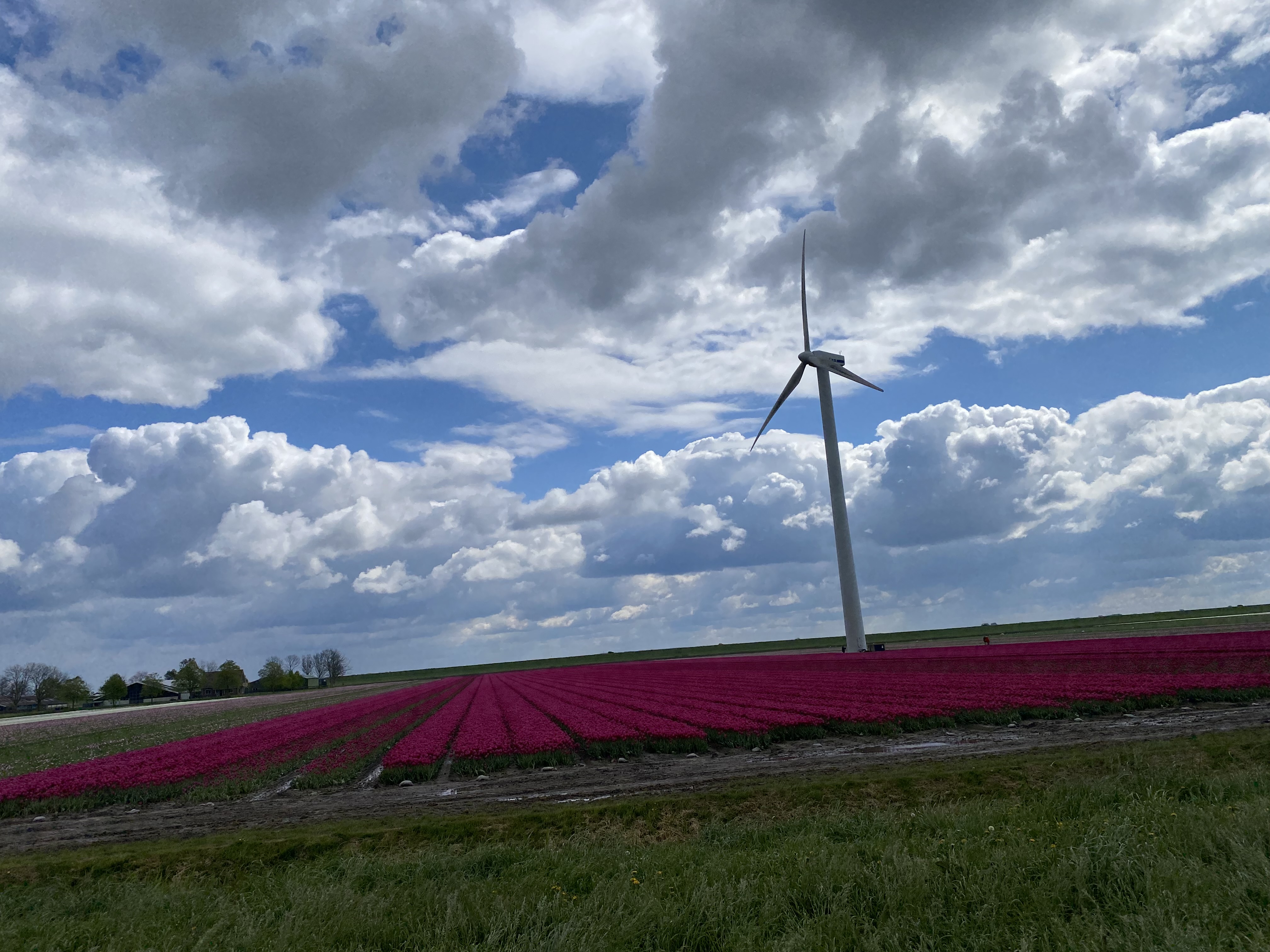 Roadtrip in the Netherlands
